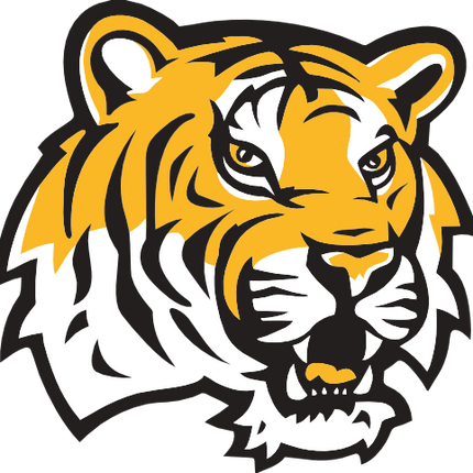 (s145-01-2I)  Tiger Mascot