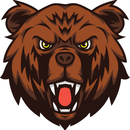 (145-1A-70) Bear Mascot