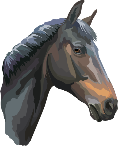 (s287-2B)  Illustrated Horse Head