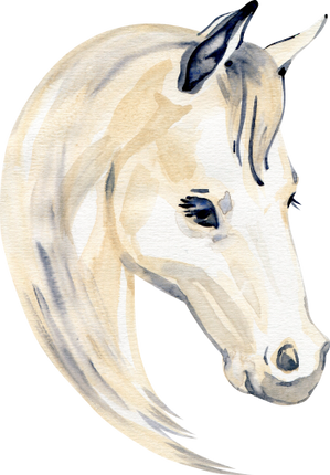 (s100-2-H)  Watercolor Horse