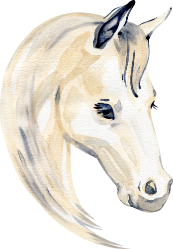 (s100-2-H)  Watercolor Horse