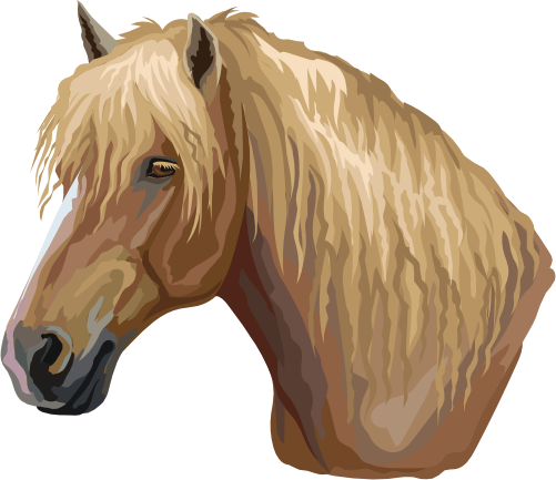 (s287-1K)  Illustrated Horse Head