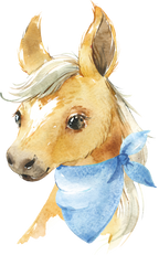 (s313-1-1B-27) Baby Horse Blue Bandana