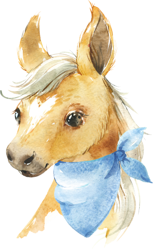 (s313-1-1B-27) Baby Horse Blue Bandana