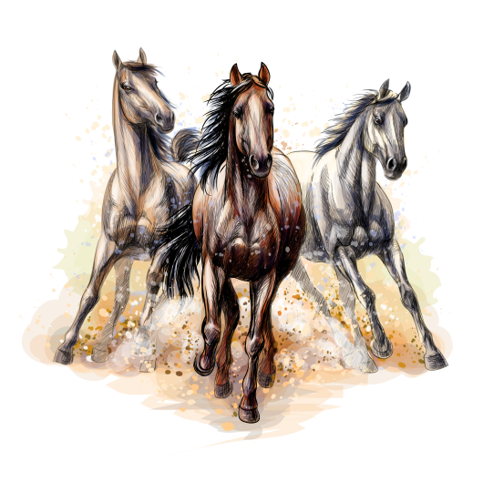 (s346-2-1C) Watercolor Boho Horse