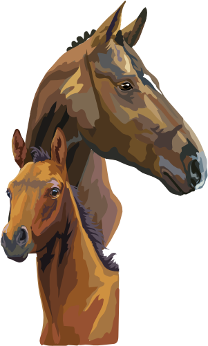 (s287-1C)  Illustrated Mom & Baby Horse Head