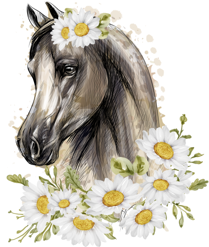 (s100-2-M)  Watercolor Horse Head Daisies