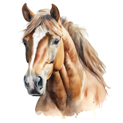 (s398-1-1B)  Watercolor Horse