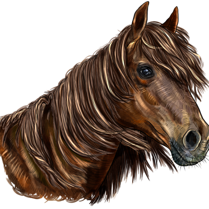 (s098-3-O)  Watercolor Horse