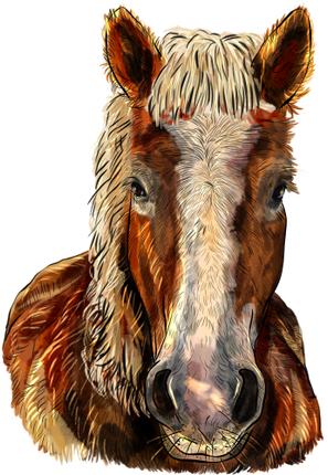 (s098-3-T)  Watercolor Horse