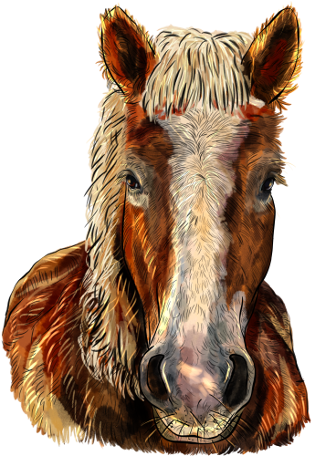 (s098-3-T)  Watercolor Horse