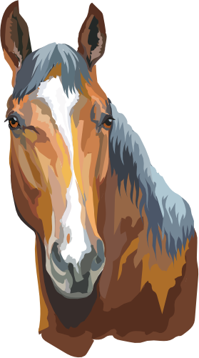 (s287-1Y)  Illustrated Horse Head