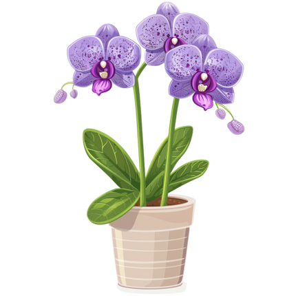 (125-03) Potted Orchids