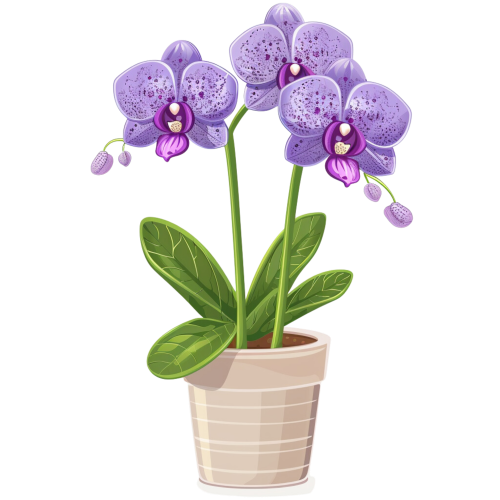 (125-03) Potted Orchids
