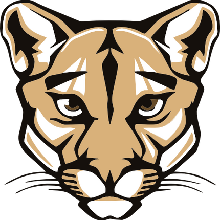(145-1A-53) Cougar Mascot