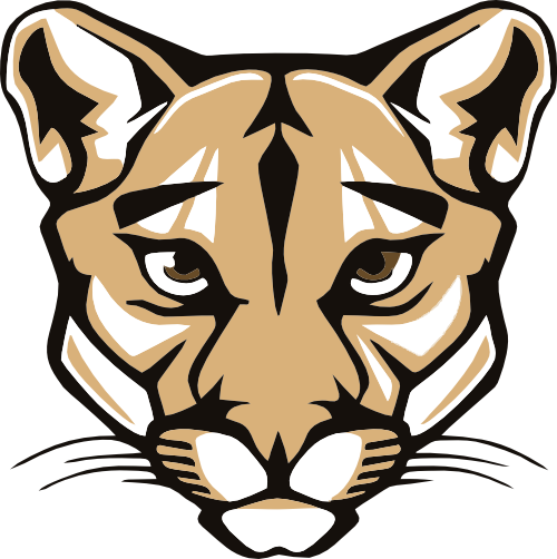 (145-1A-53) Cougar Mascot