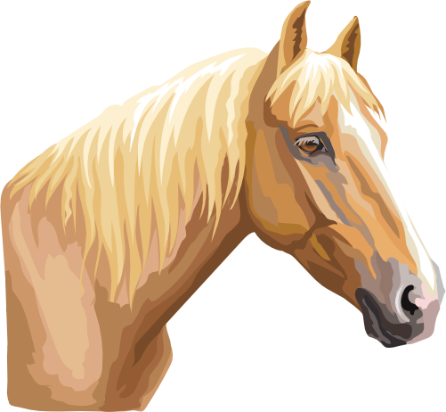 (s287-1U)  Illustrated Horse Head