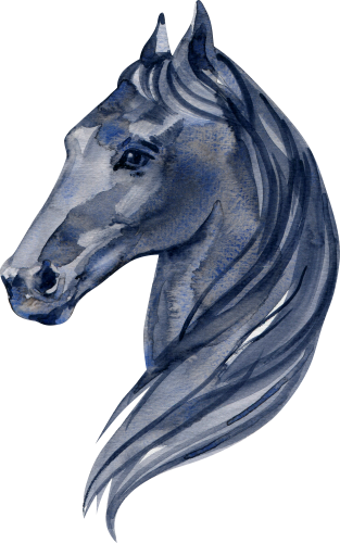 (s100-2-G)  Watercolor Horse