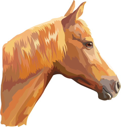 (s287-1Z)  Illustrated Horse Head