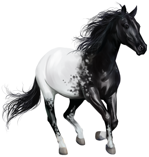 (s109-3-L)  Watercolor Horse