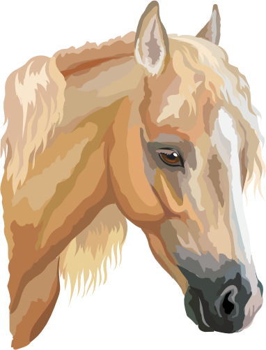 (s287-1G)  Illustrated Horse Head
