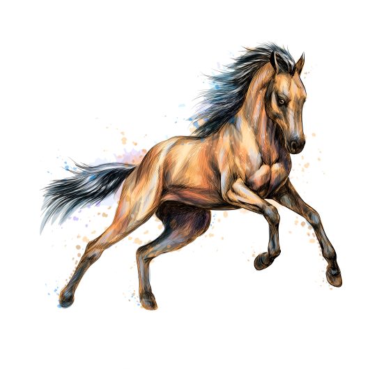 (s346-2-1E) Watercolor Boho Horse