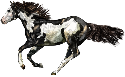 (s098-3-K)  Watercolor Horse