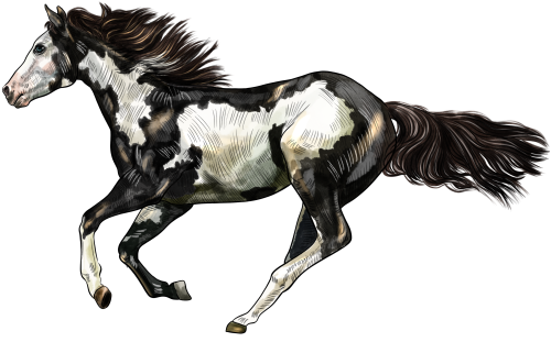 (s098-3-K)  Watercolor Horse