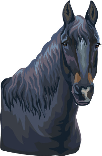 (s287-1L)  Illustrated Horse Head