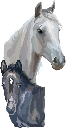 (s287-1B)  Illustrated Mom & Baby Horse Head