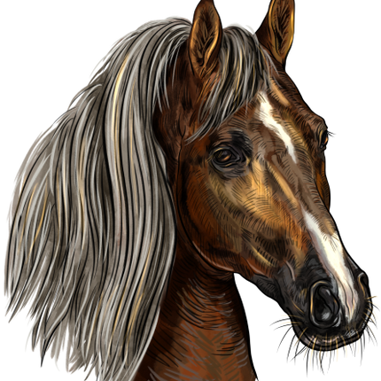 (s098-3-N)  Watercolor Horse