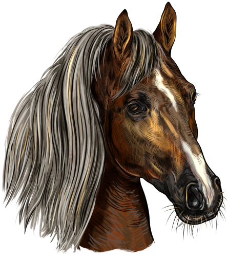 (s098-3-N)  Watercolor Horse