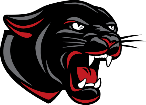 (s145-1-1Y) Panther Mascot