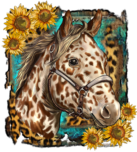 (s346-1-1M)  Watercolor Appaloosa Horse Sunflowers