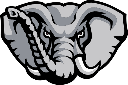 (s145-01-3V) Elephant Mascot