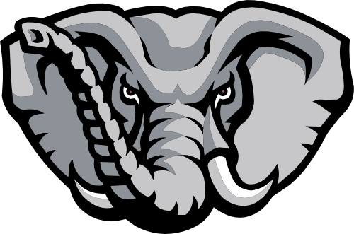 (s145-01-3V) Elephant Mascot