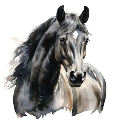 (s398-1-1O)  Watercolor Horse