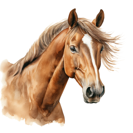 (s398-1-1A)  Watercolor Horse