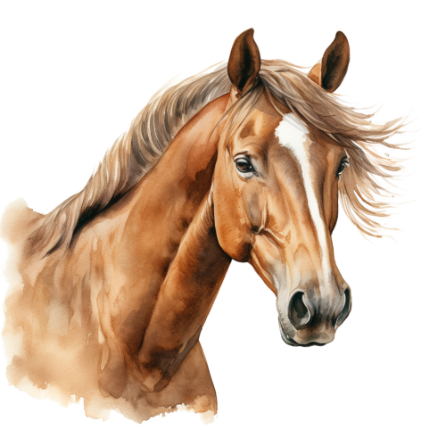 (s398-1-1A)  Watercolor Horse