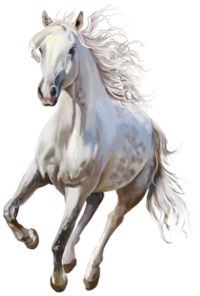 (s109-3-N)  Watercolor Horse