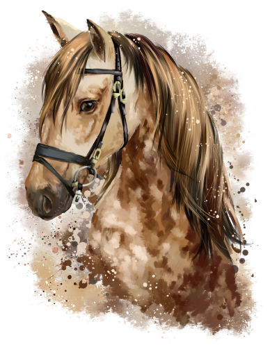 (s109-3-A)  Watercolor Horse