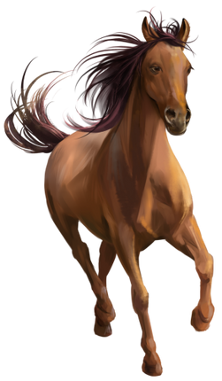 (s109-3-D)  Watercolor Horse