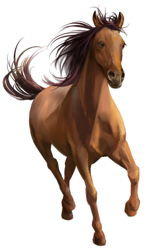 (s109-3-D)  Watercolor Horse