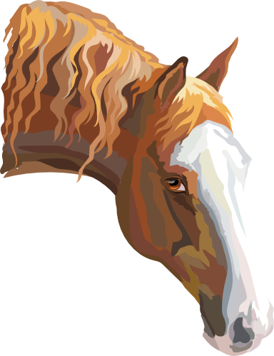 (s287-1V)  Illustrated Horse Head