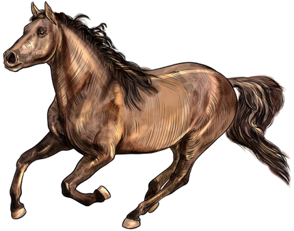 (s098-3-F)  Watercolor Horse