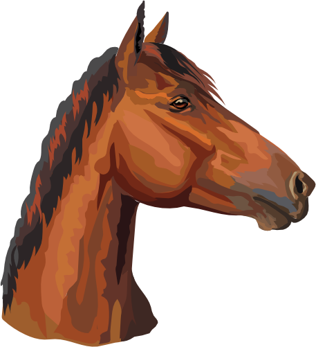 (s287-2A)  Illustrated Horse Head
