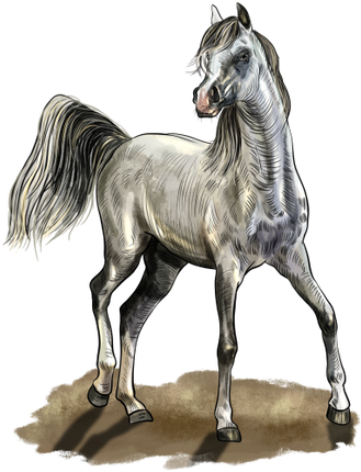 (s098-3-B)  Watercolor Horse