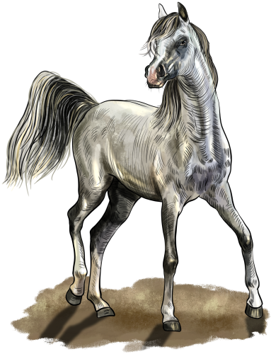 (s098-3-B)  Watercolor Horse