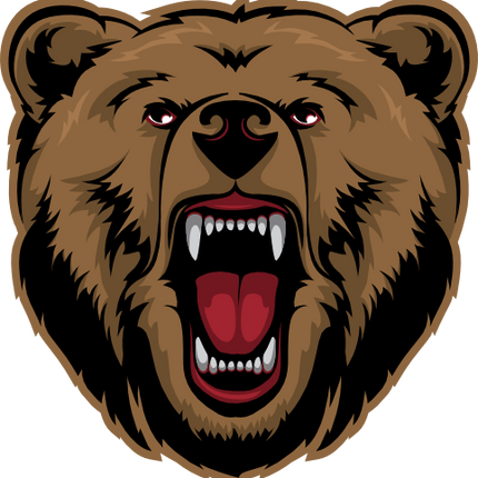 (145-1A-23) Bear Mascot