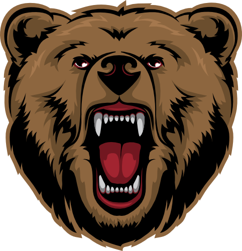 (145-1A-23) Bear Mascot